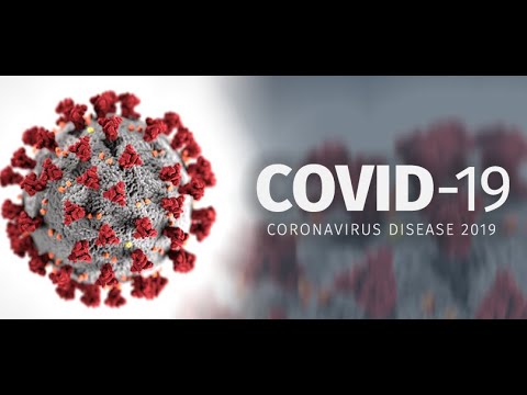coronavirus disease 2019 covid 19