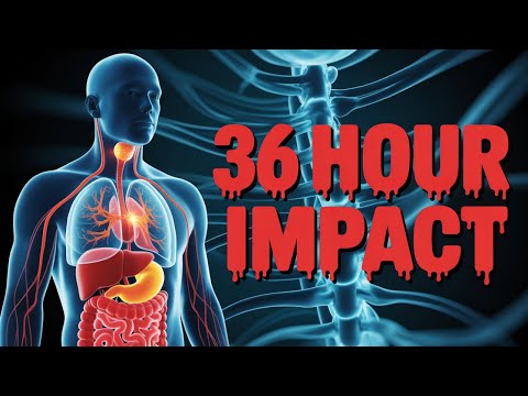 You Won't Believe What Fasting Does to Your Organs