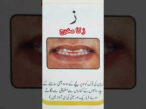 Tajweed ul Qur'an | Zaa (ز) Ka Makhraj #tajweed #makhraj #viral #ytshorts #shortvideos