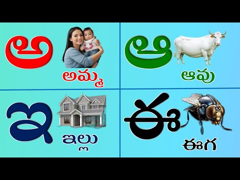 తెలుగు వర్ణమాల | అ - అమ్మ ఆ - ఆవు | Telugu varnamala | pre school kids | lkg and ukg