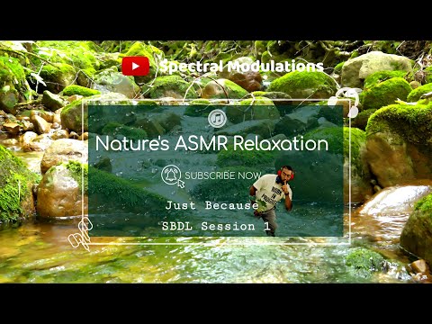 SBDL Sessions: Stream Soundscape in the Woods | Nature ASMR for Deep Relaxation
