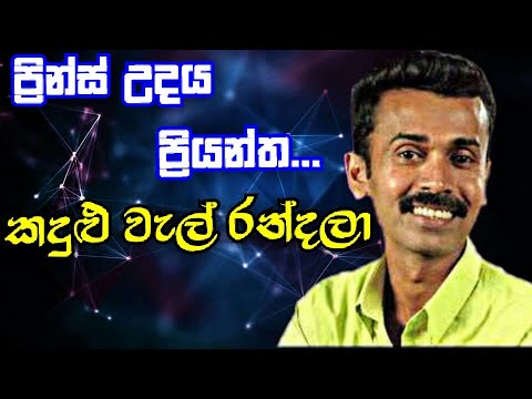 Kandulu wal randala|Prince Udaya Priyantha | Music store [Mix]