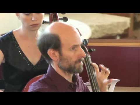 Vivaldi's D minor Cello Concerto (RV 407) 2nd movement