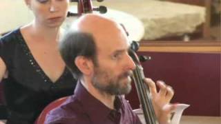 Vivaldi's D minor Cello Concerto (RV 407) 2nd movement