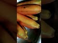 bunch of red bananas aka cuban bananas sevvazhai chenkadali chandrabale aka chakkarakeli shorts