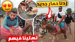 زدنا حمار جديد شرينا داكشي لي غايحتاجوه الحمير فالتريب الجديد