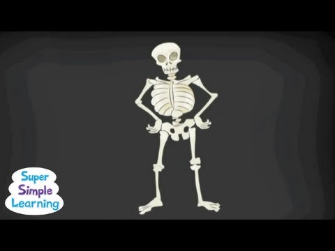 The Skeleton Dance | Classroom Fun | Super Simple Songs