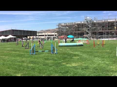 Bev and Pixie - Masters Challenge Jumpers (14") - 2015-05-30