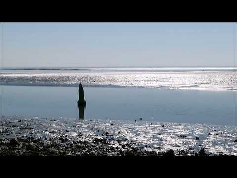 Langs de oevers van de Oosterschelde in 2020 deel 1