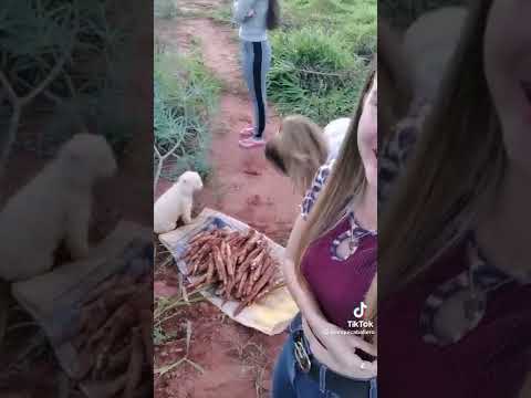 Paraguayas hablando en guarani idioma nativo. Entienden algo? 🇵🇾😂