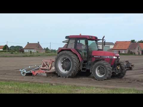 Loonw. Ripatrac - Koekelare - Case IH Maxxum 5150