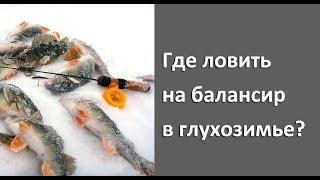 Рыбалка зимой на нижней волге