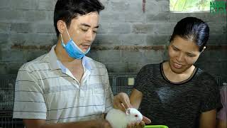 Chống nóng cho gia súc, gia cầm năm 2022