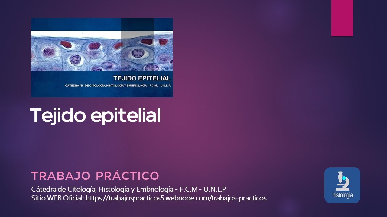 TEJIDO EPITELIAL - TRABAJO PRÁCTICO