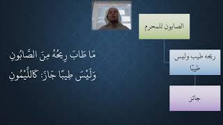 صورة 75 شرح منظومة فقه النوازل - الحج   مسألة الصابون للمحرم