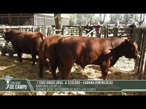 Resumen del remate de Marín G. Lalor - Viernes 24 de septiembre de 2021 - Las Flores