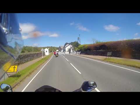 Annoying Cyclists part II