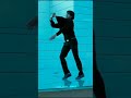 Alluarjun Allu Arjun Full Screen Whatsapp Status Arya2 Arya 2 Whatsapp Status Aj Allu Editz