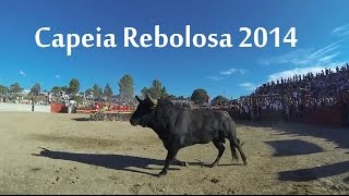 preview picture of video 'Capeia Arraiana - Rebolosa 2014 (Susto encerro)'