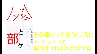 ラジオ的なことをしたくなったのでしてみた
