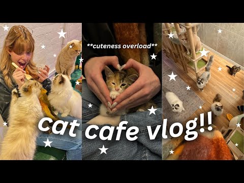 spend the day with me at the cat cafe!! 🐈 ☕️ (VLOG)