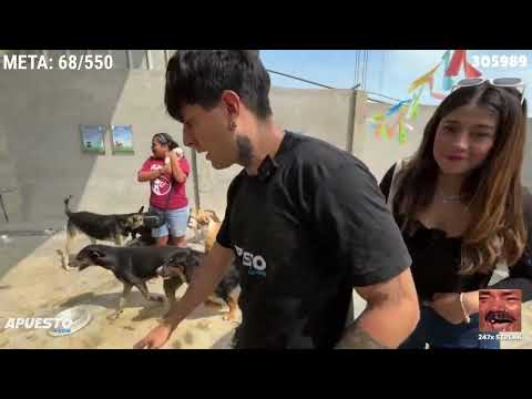 diealis y zully van a un albergue de perros a donar alimentos