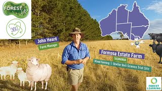 ForestVR – Agroforestry: Formosa Estate |  Tasmania - Shelter Belts  -- 4K