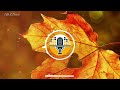 TUMHE APNA BANANE KI KASAM 8D Remix Song DJ Sunny DJ BassCleft AznxDJs Alt 8D360