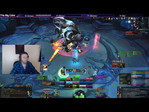 [N] Shiver vs. The Tarragrue - Sanctum of Domination Raid (Resto Druid)