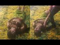 Drama Rape Scene