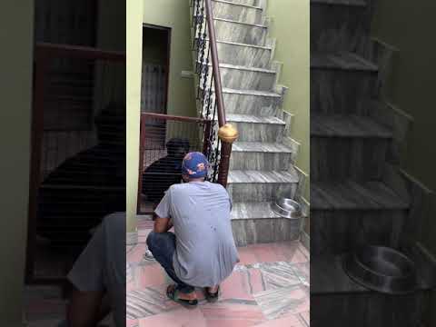 Seeing Bruce after a Year..