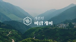 세븐틴 (SEVENTEEN) - 바람개비 (Pinwheel) Piano Cover