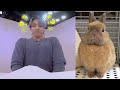 [방탄소년단 정국]  정국이 귀여운순간 모음/ BTS Jungkook cute moments