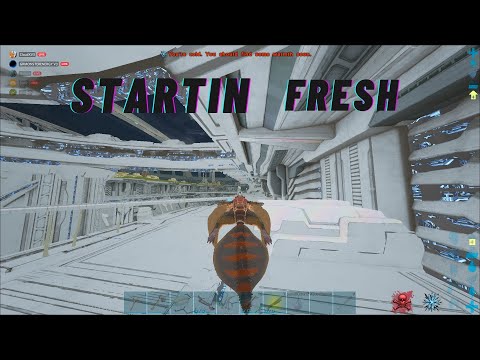 Starting Up On Gen 2! Ark Official Small Tribes