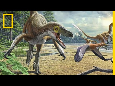 How the Dinosaurs Became Extinct - NatGeo