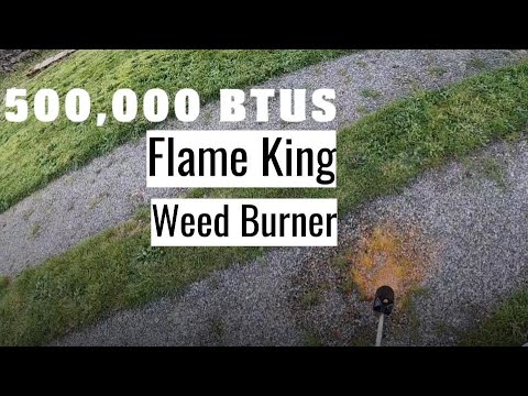 Flame King Propane Weed Burner Review