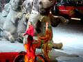 Elephants At The Circus