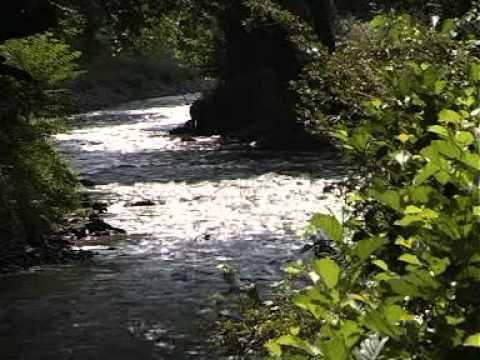 Vila Cornelia din Roşcani-Ţinutul Păstrăvăriilor.mpg