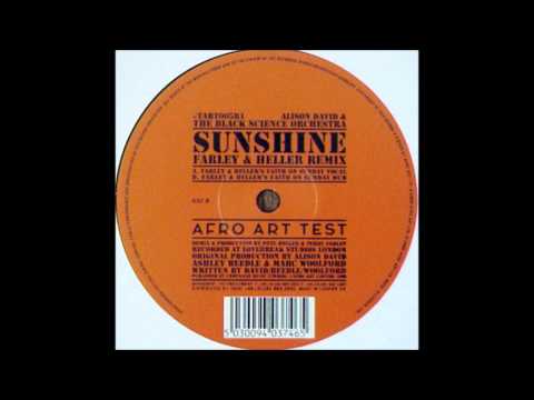 Alison David & The Black Science Orchestra - Sunshine (Farley & Hellers Faith On A Sunday Vocal)