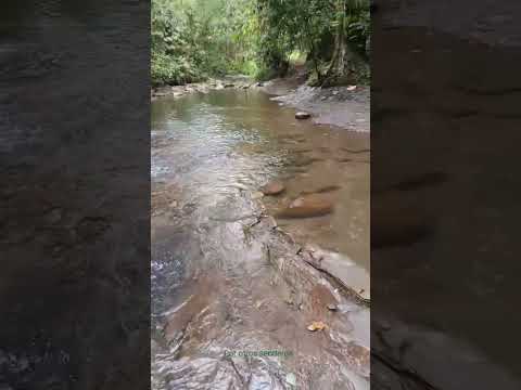 Cascadas yanayaku Archidona Napo