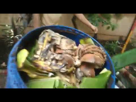 IVC 450L Organic Waste Compost Tumbler