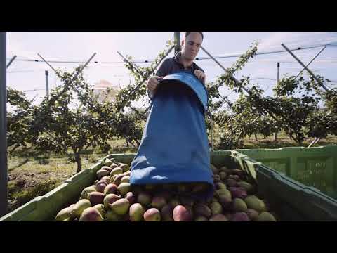 «Aus der Region. Für die Region.» J&J Roth-Meyer aus Altnau.