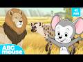 Serengeti Animals Adventure ABCmouse Search Explore For Kids 45 Minute Compilation
