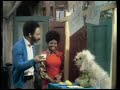Sesame Street Show 84