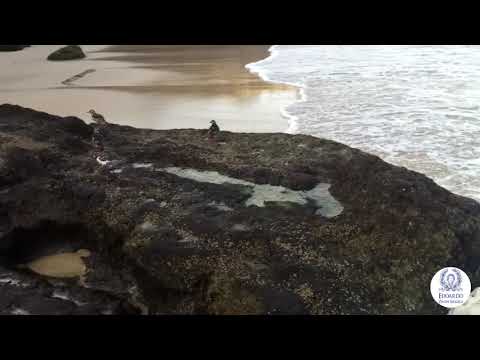 Looking for a place to meditate