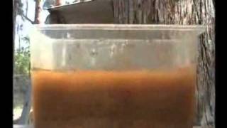 Noah's Flood debunked - 1 (reposted from Potholer54debunks)