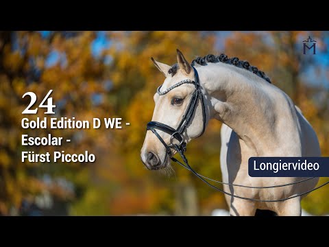 Longiervideo/Lungevideo 5. Mecklenburger Körtage Nr. 24 Gold Edition - Escolar - Fürst Piccolo
