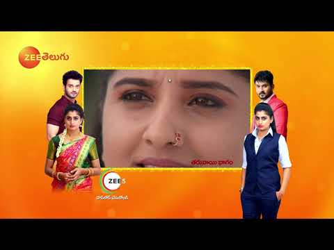 Raktha Sambandham - Telugu Tv Serial - Webisode - 339 - Meghana lokesh,Jyothi reddy - Zee Telugu