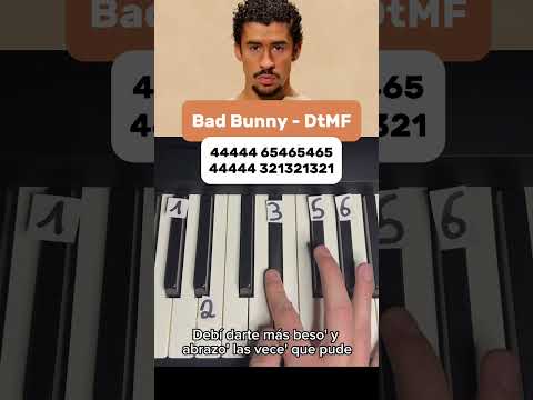 Bokete - Bad Bunny