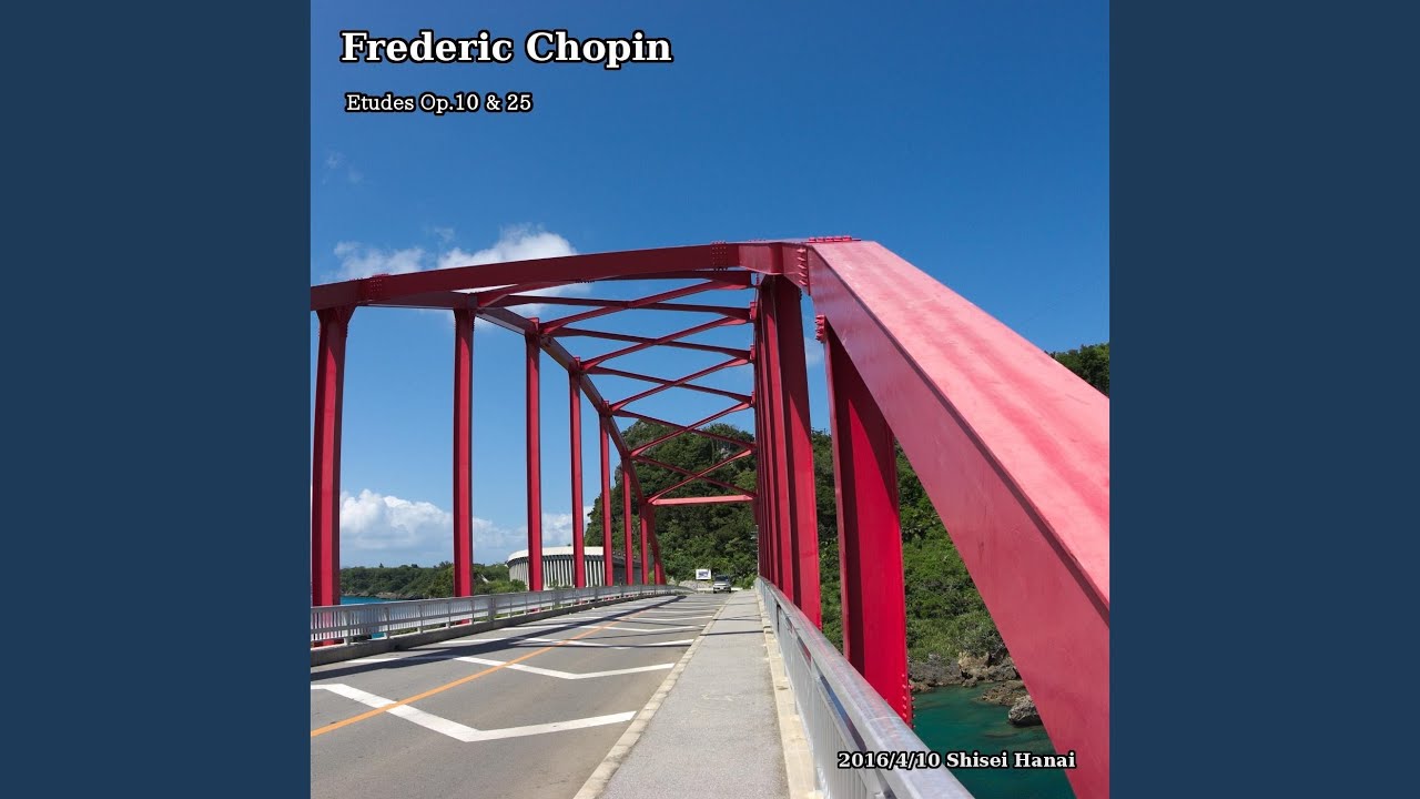 Chopin Etudes, Op. 10, No. 4 in C-Sharp Minor: 'Torrent'
